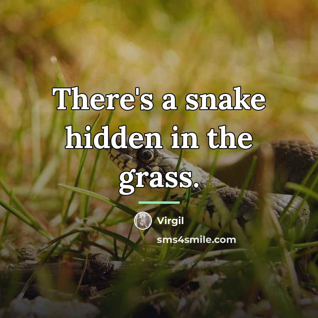 “There's a snake hidden in the grass.…” quote by Virgil