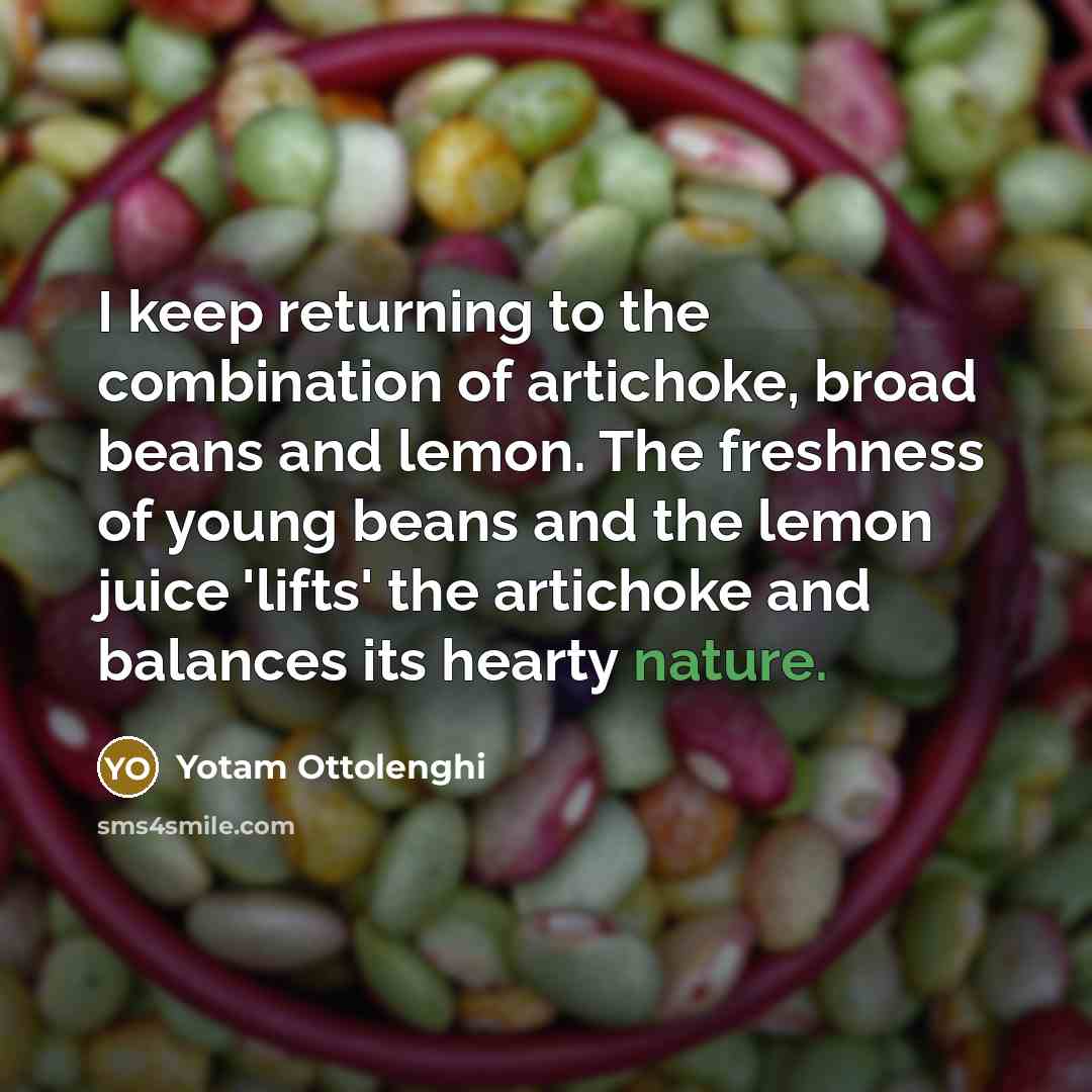“I keep returning to the combination of artichoke, broad beans…” quote by Yotam Ottolenghi