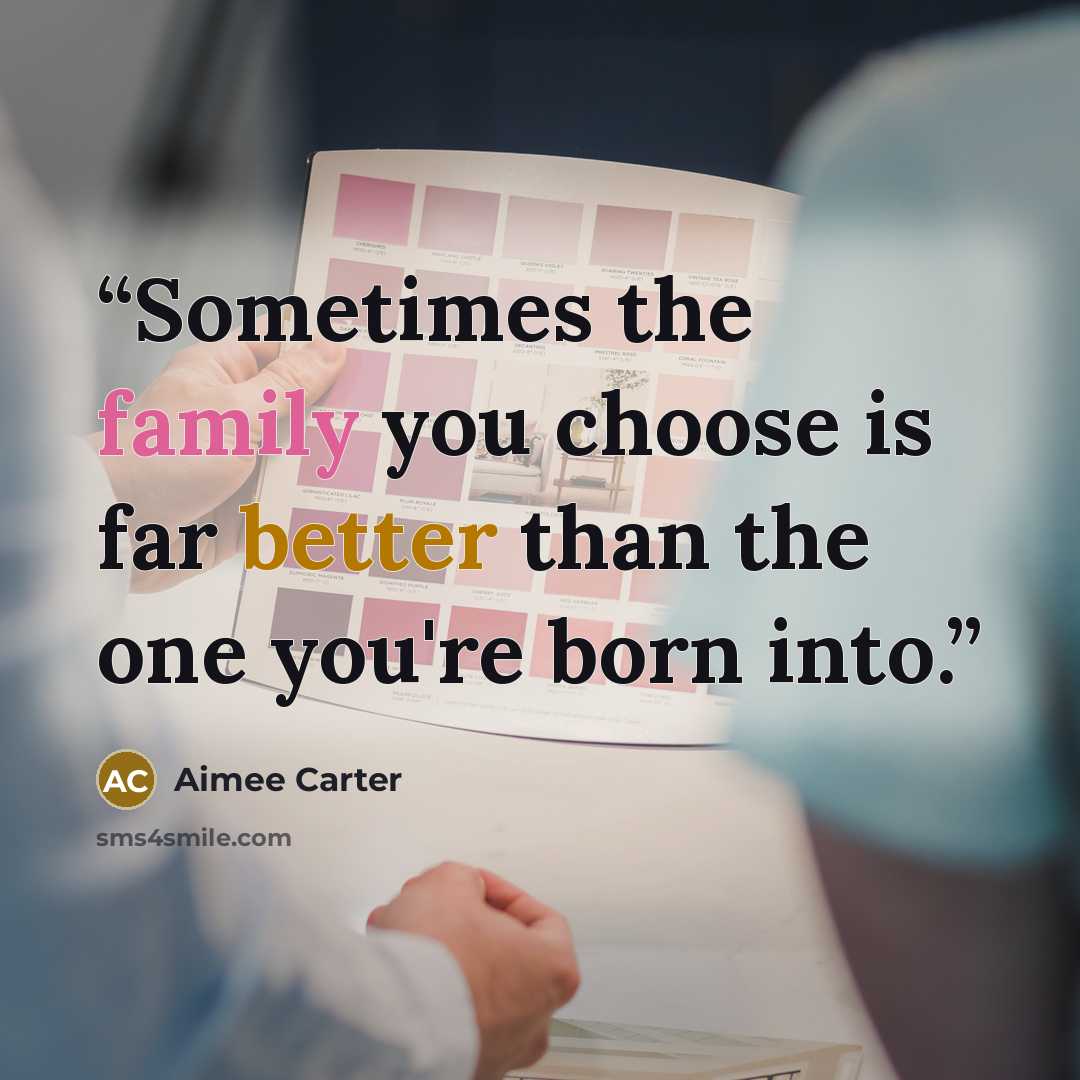 “Sometimes the family you choose is far better than the one you're born into.” quote by Aimee Carter