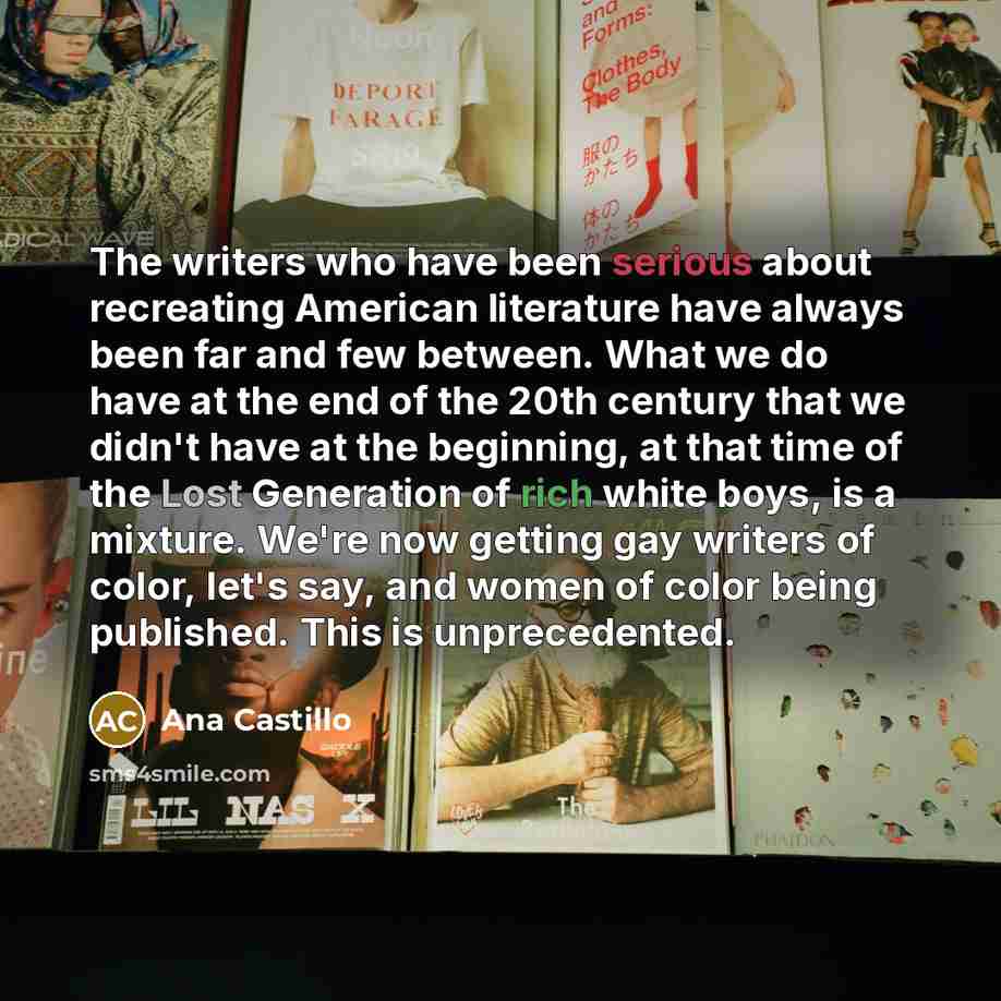 “The writers who have been serious about recreating American literature…” quote by Ana Castillo