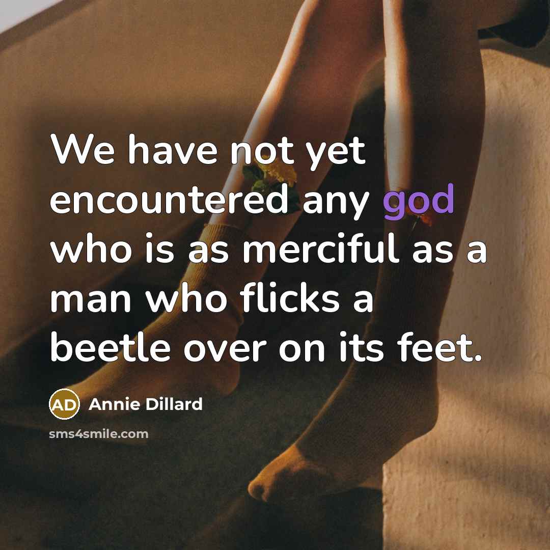 “We have not yet encountered any god who is as…” quote by Annie Dillard