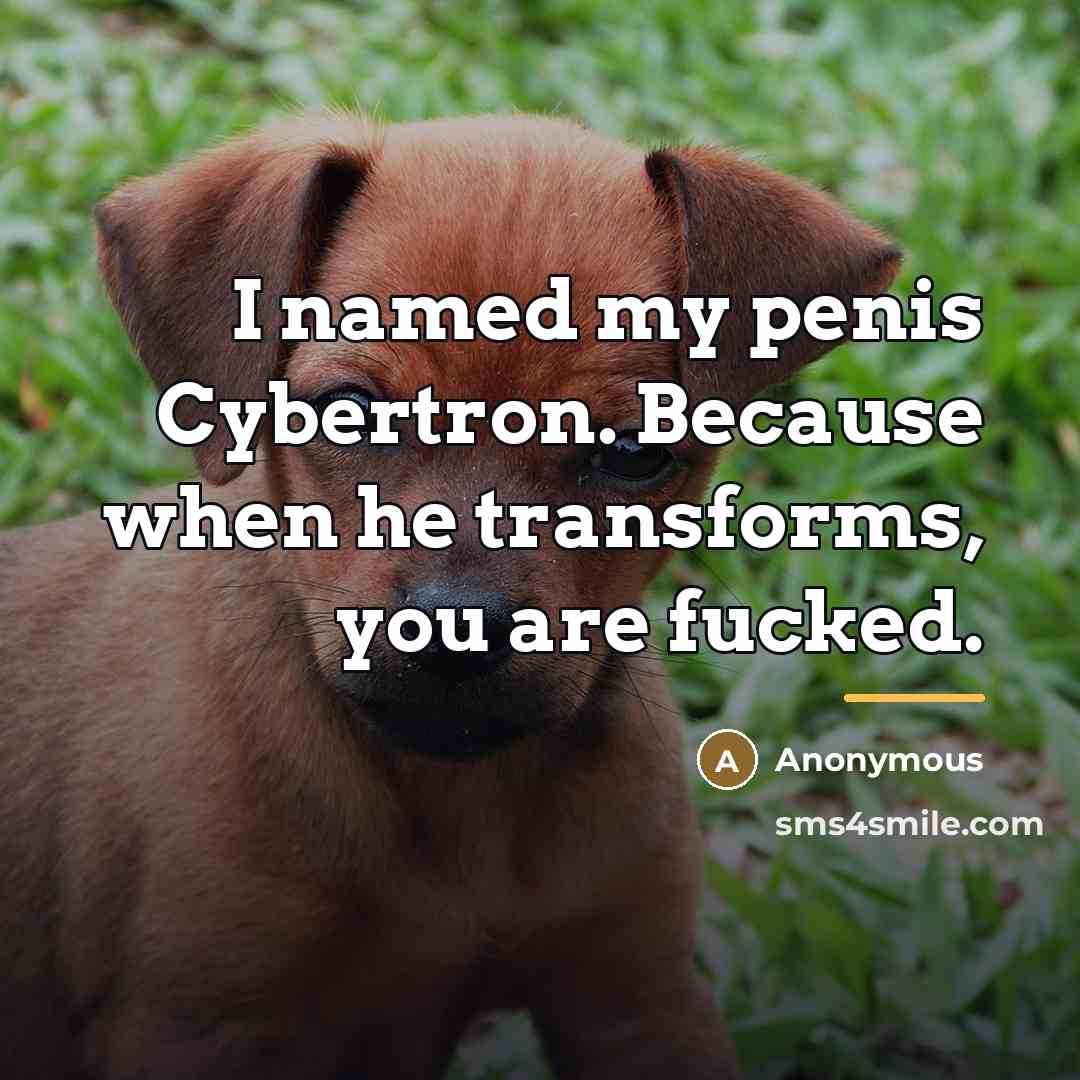 “I named my penis Cybertron. Because when he transforms, you…” quote by Anonymous