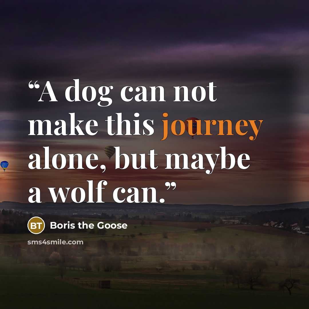 “A dog can not make this journey alone, but maybe a wolf can.” quote by Boris the Goose