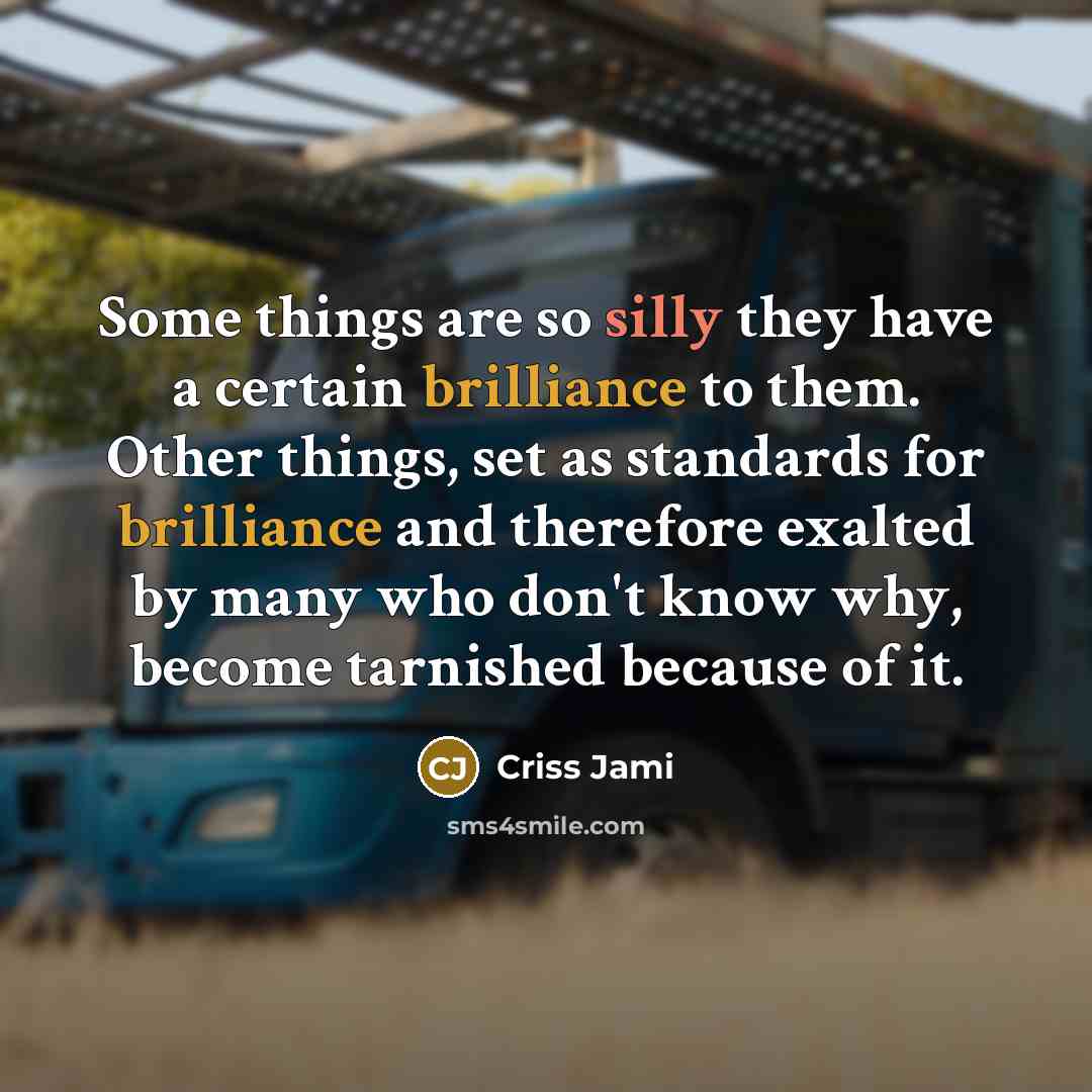 “Some things are so silly they have a certain brilliance…” quote by Criss Jami