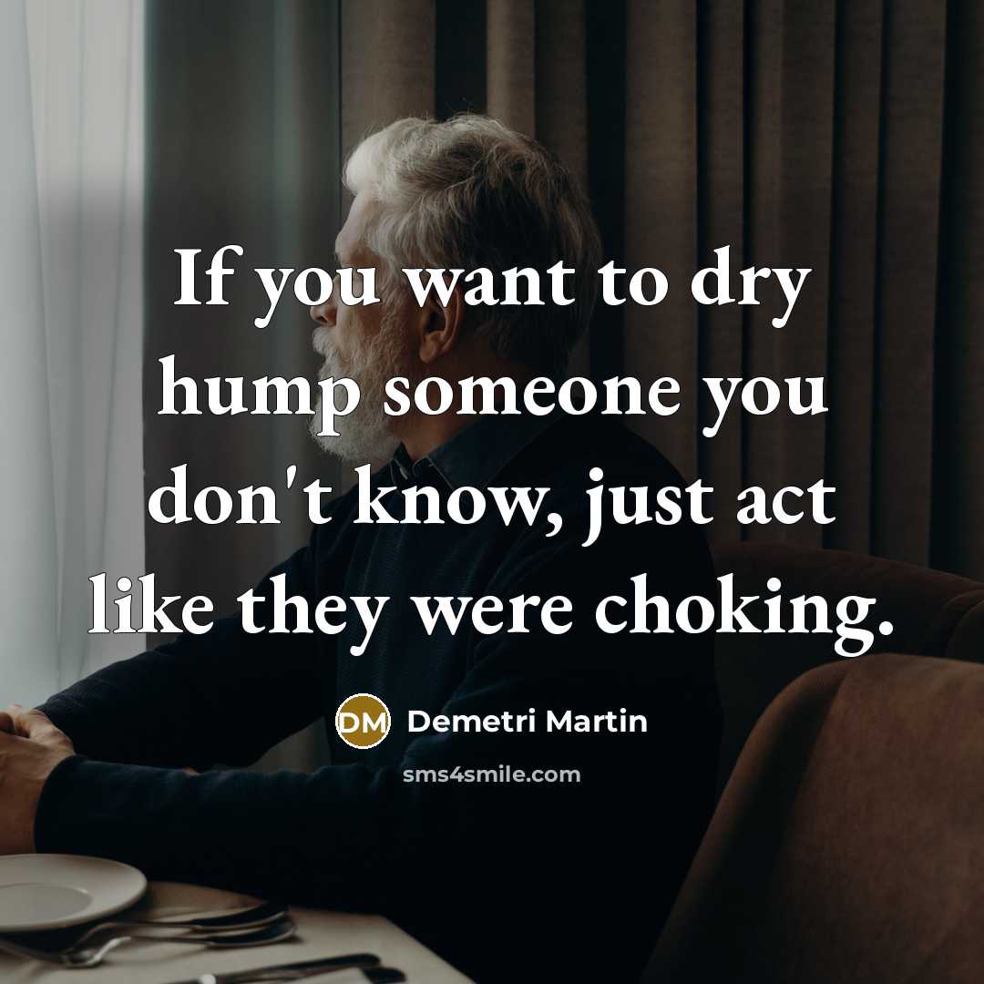 “If you want to dry hump someone you don't know,…” quote by Demetri Martin