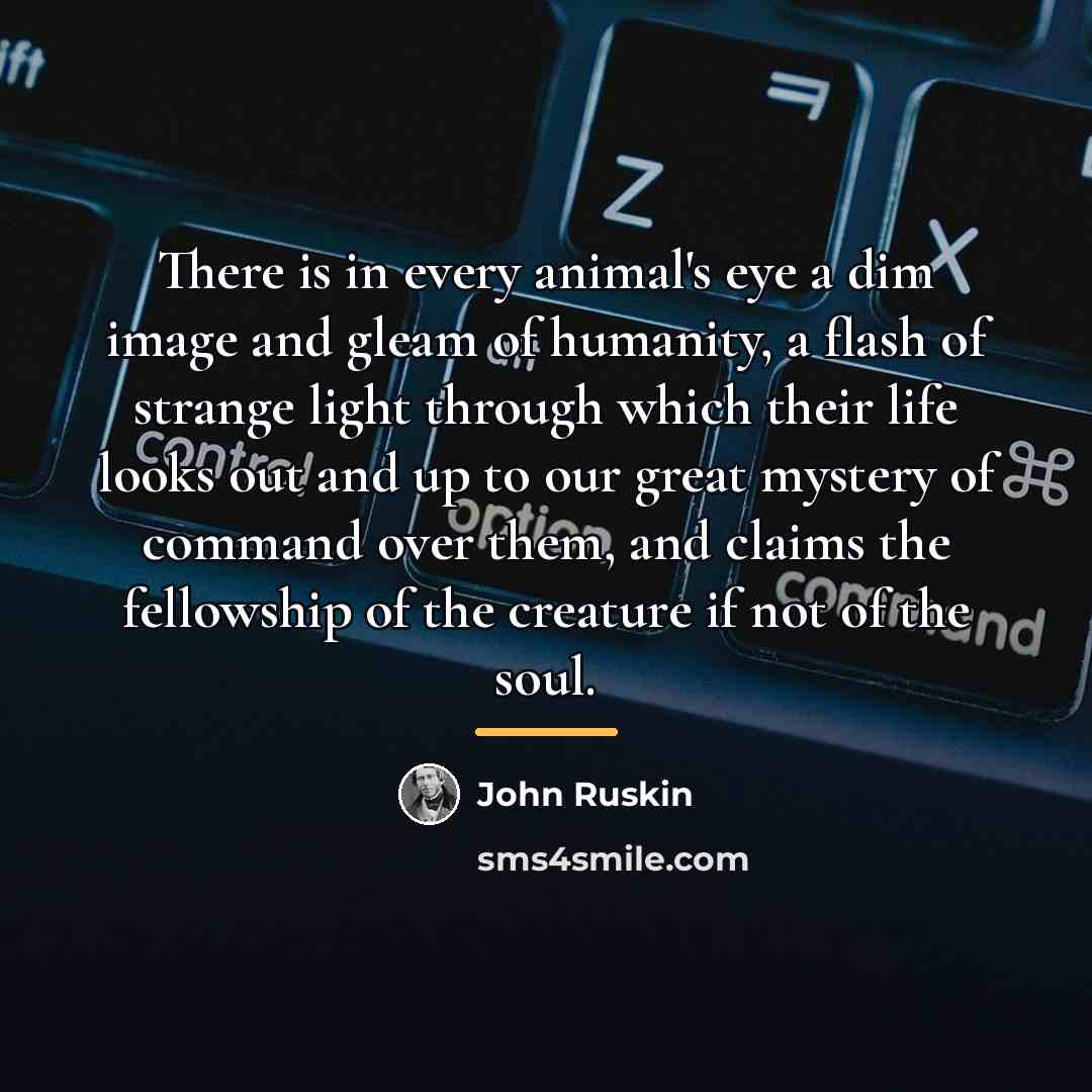 “There is in every animal's eye a dim image and…” quote by John Ruskin