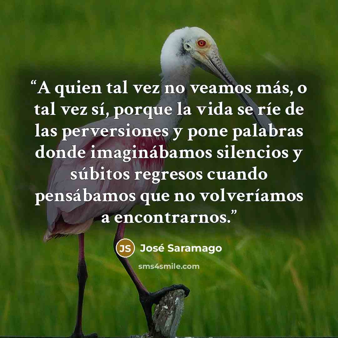 “A quien tal vez no veamos más, o tal vez sí, porque la vida se ríe de las perversiones y pone palabras donde imaginábamos silencios y súbitos regresos cuando pensábamos que no volveríamos a encontrarnos.” quote by José Saramago
