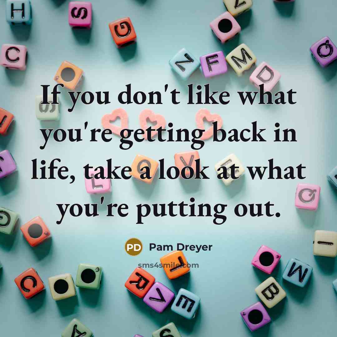 “If you don't like what you're getting back in life, take a look at what you're putting out.” quote by Pam Dreyer