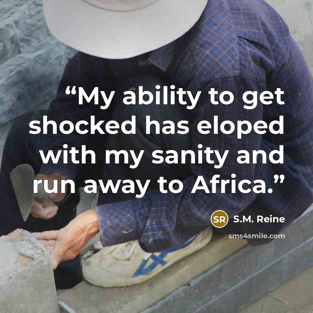 “My ability to get shocked has eloped with my sanity and run away to Africa.” quote by S.M. Reine