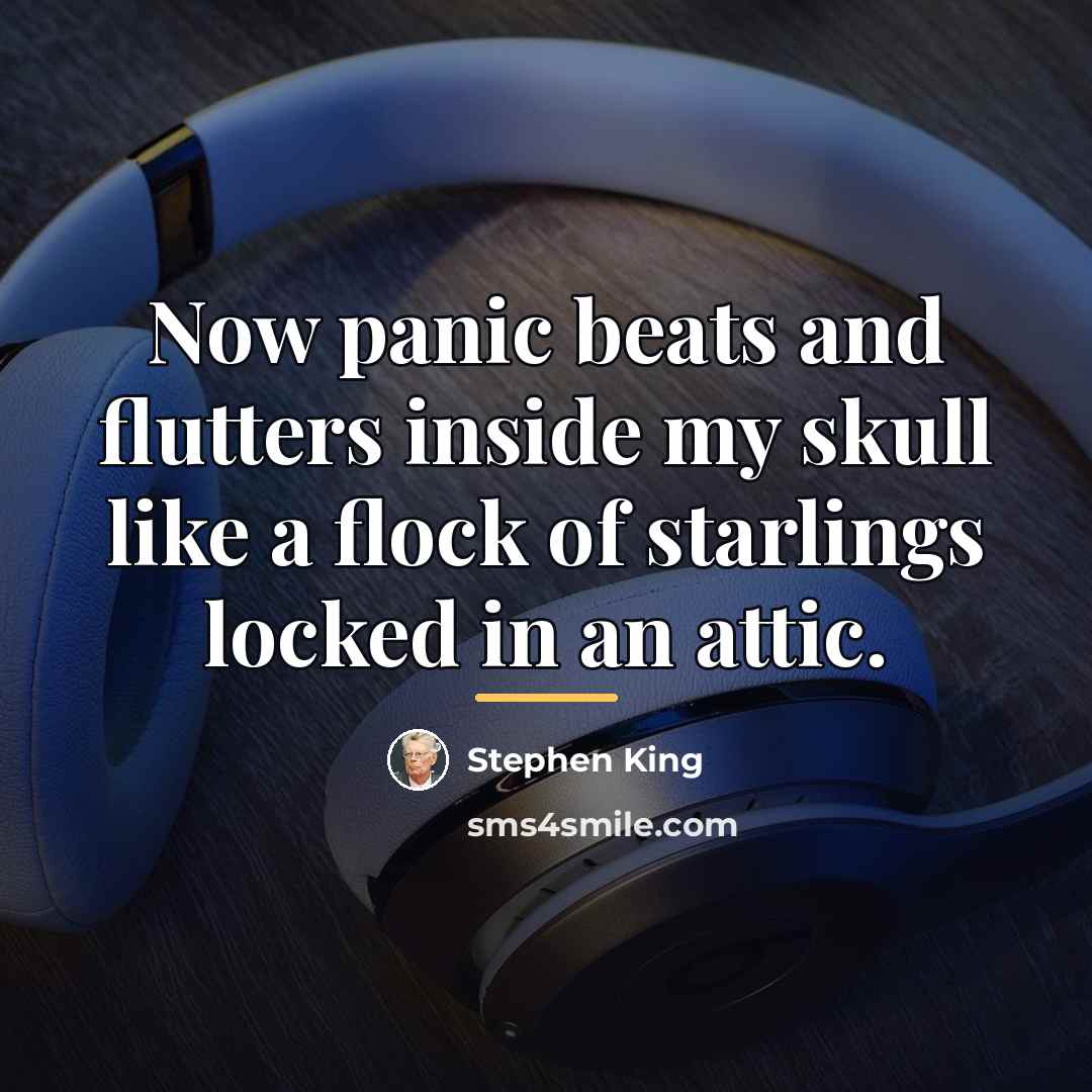 “Now panic beats and flutters inside my skull like a…” quote by Stephen King