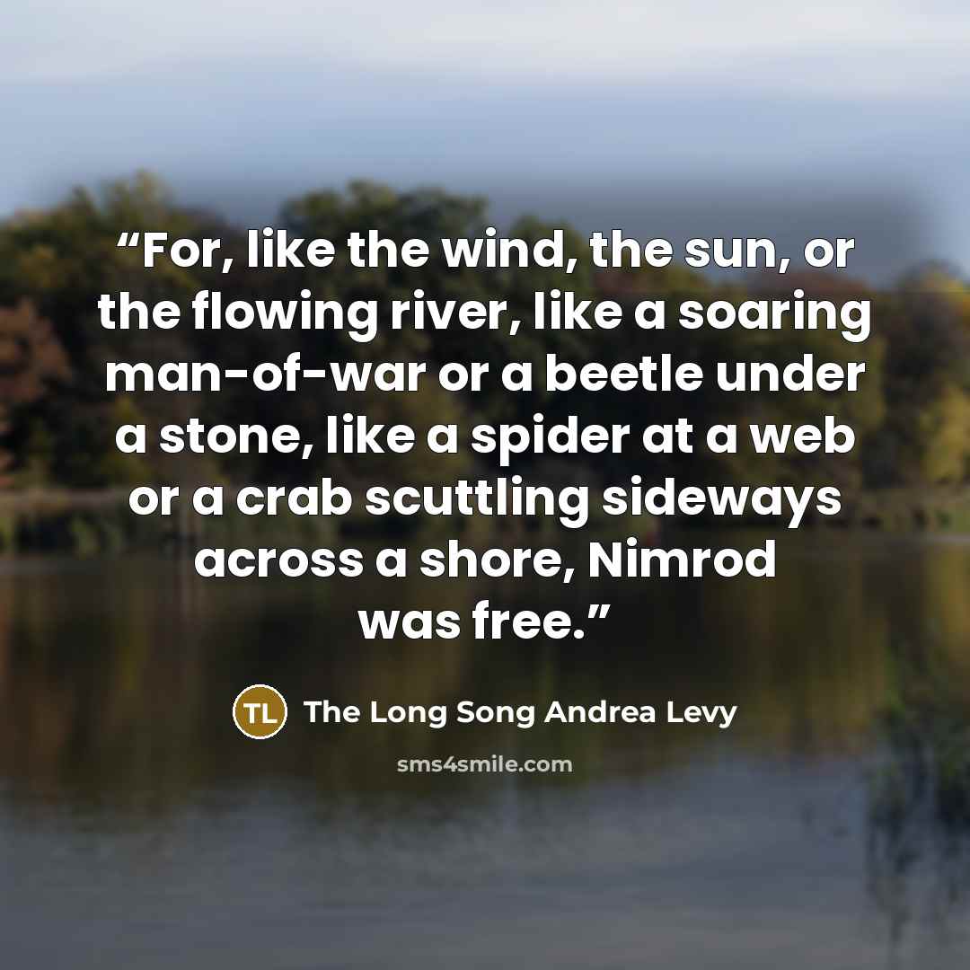 “For, like the wind, the sun, or the flowing river, like a soaring man-of-war or a beetle under a stone, like a spider at a web or a crab scuttling sideways across a shore, Nimrod was free.” quote by The Long Song Andrea Levy