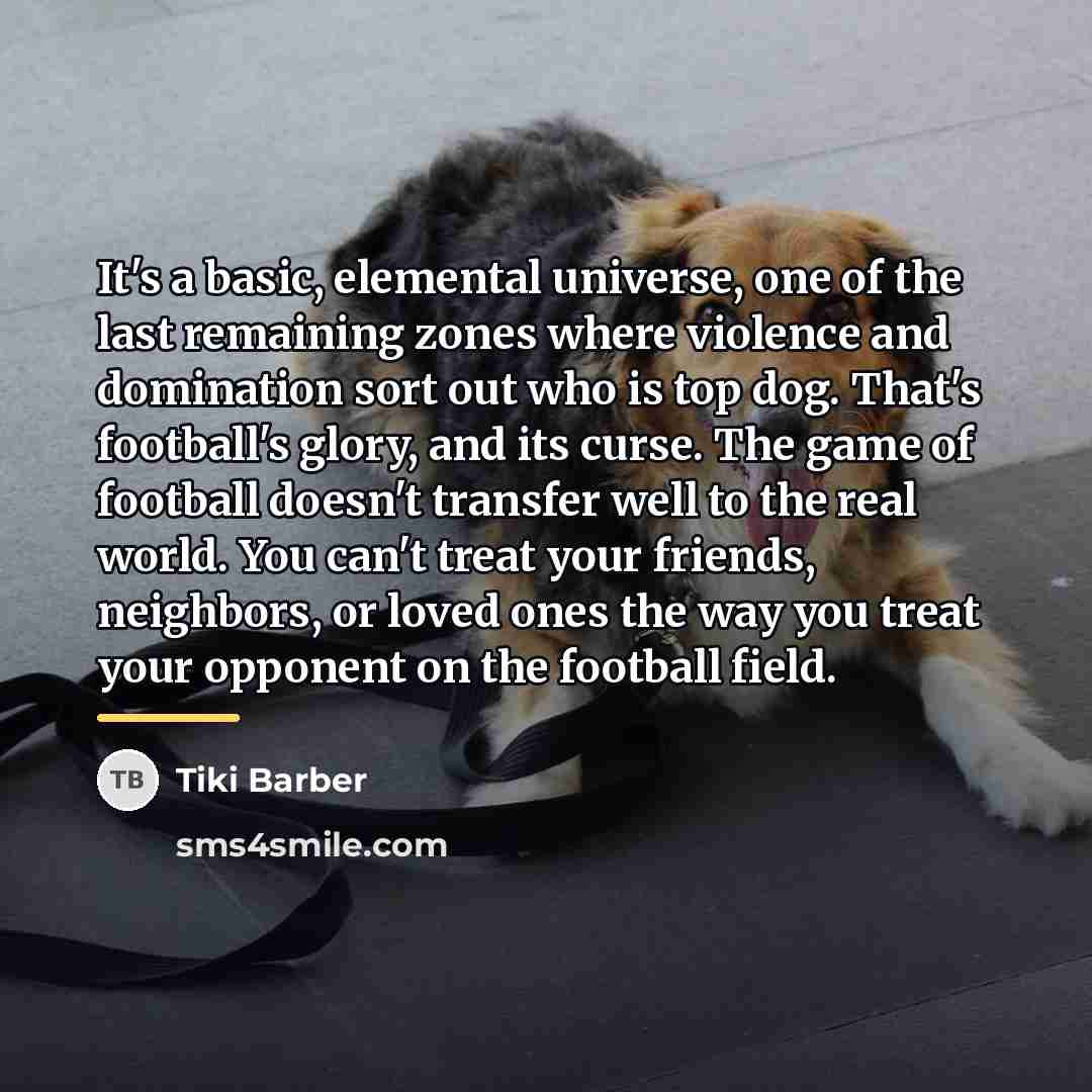“It's a basic, elemental universe, one of the last remaining…” quote by Tiki Barber