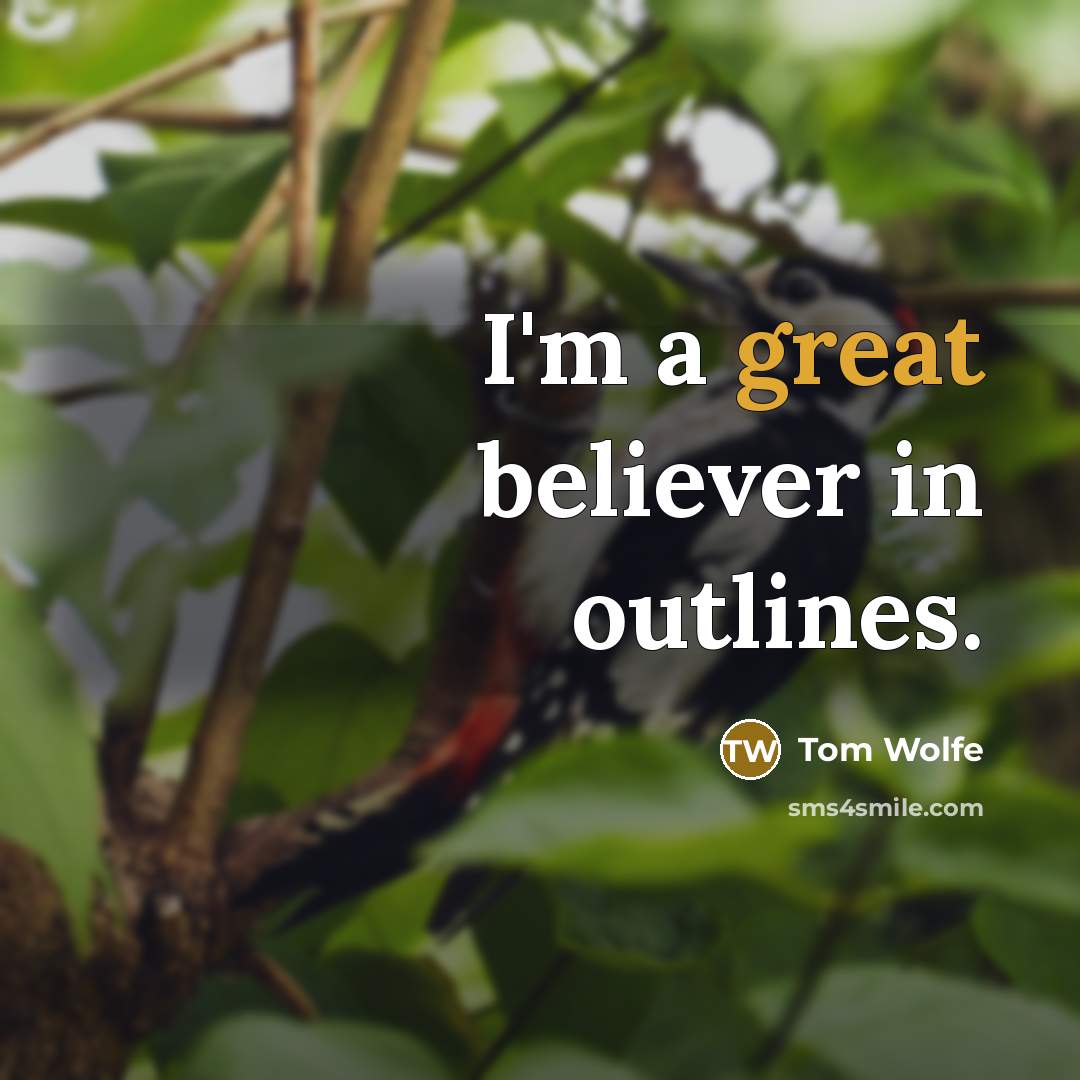 “I'm a great believer in outlines.…” quote by Tom Wolfe