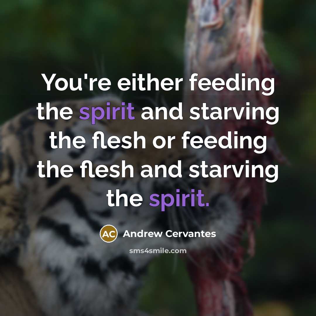 “You're either feeding the spirit and starving the flesh or…” quote by Andrew Cervantes