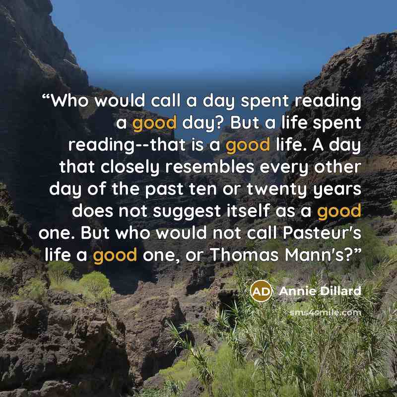 “Who would call a day spent reading a good day? But a life spent reading--that is a good life. A day that closely resembles every other day of the past ten or twenty years does not suggest itself as a good one. But who would not call Pasteur's life a good one, or Thomas Mann's?” quote by Annie Dillard