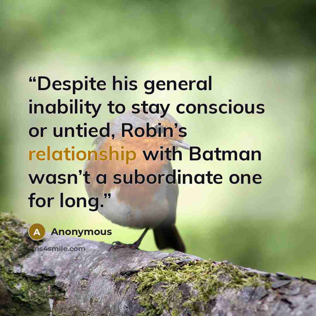 “Despite his general inability to stay conscious or untied, Robin’s relationship with Batman wasn’t a subordinate one for long.” quote by Anonymous