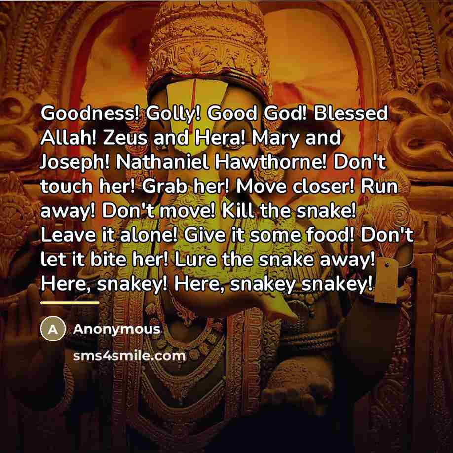 “Goodness! Golly! Good God! Blessed Allah! Zeus and Hera! Mary…” quote by Anonymous