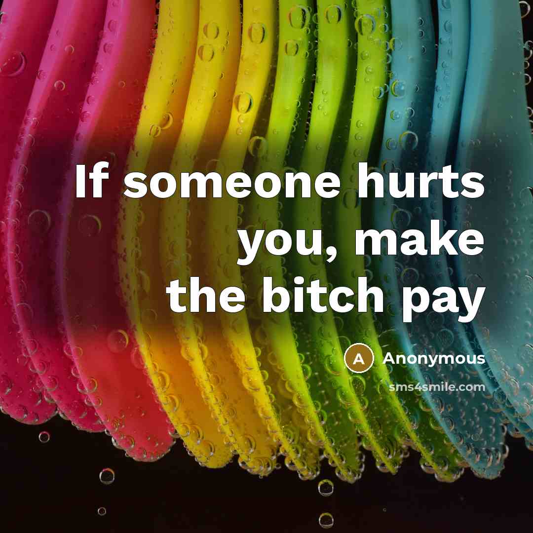 “If someone hurts you, make the bitch pay…” quote by Anonymous