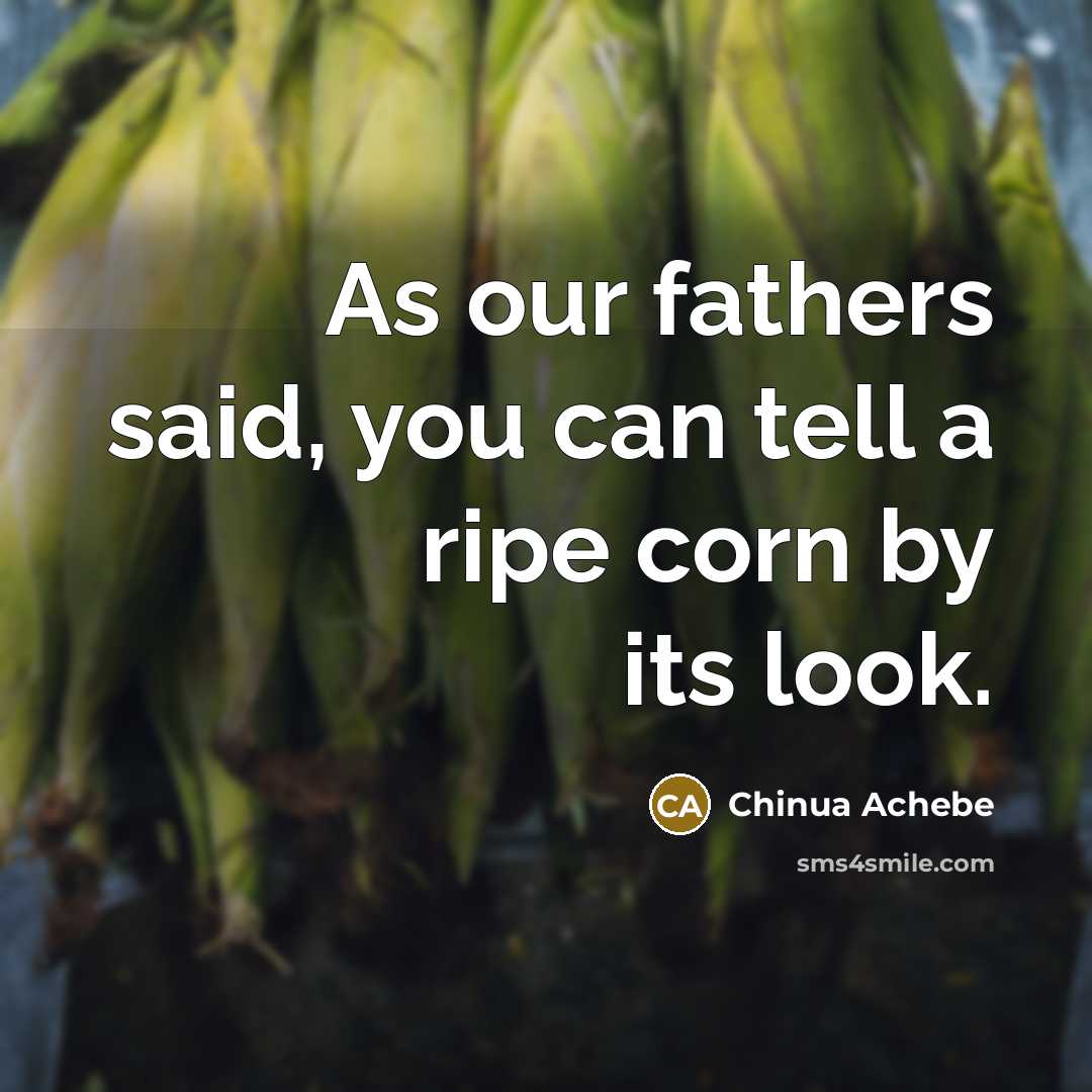“As our fathers said, you can tell a ripe corn…” quote by Chinua Achebe
