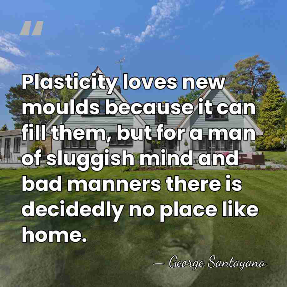 Plasticity loves new moulds because it can fill them, but for a&hellip; - George Santayana