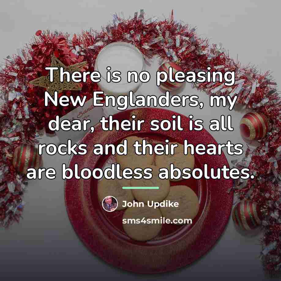 “There is no pleasing New Englanders, my dear, their soil…” quote by John Updike