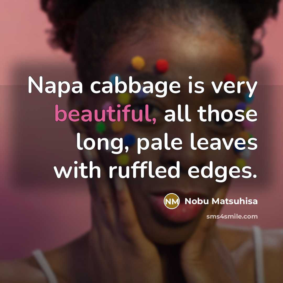 “Napa cabbage is very beautiful, all those long, pale leaves…” quote by Nobu Matsuhisa