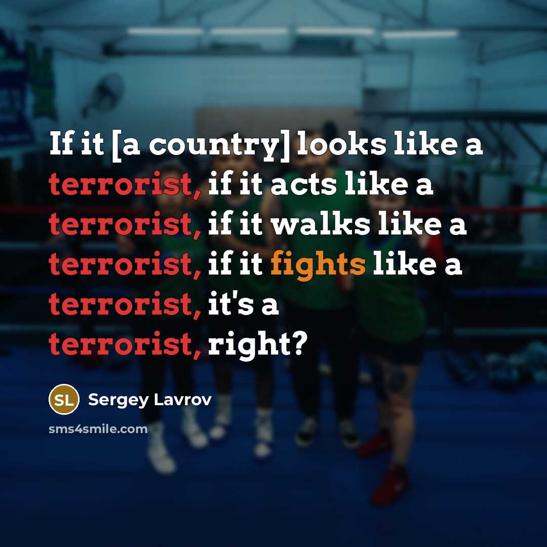 “If it [a country] looks like a terrorist, if it…” quote by Sergey Lavrov