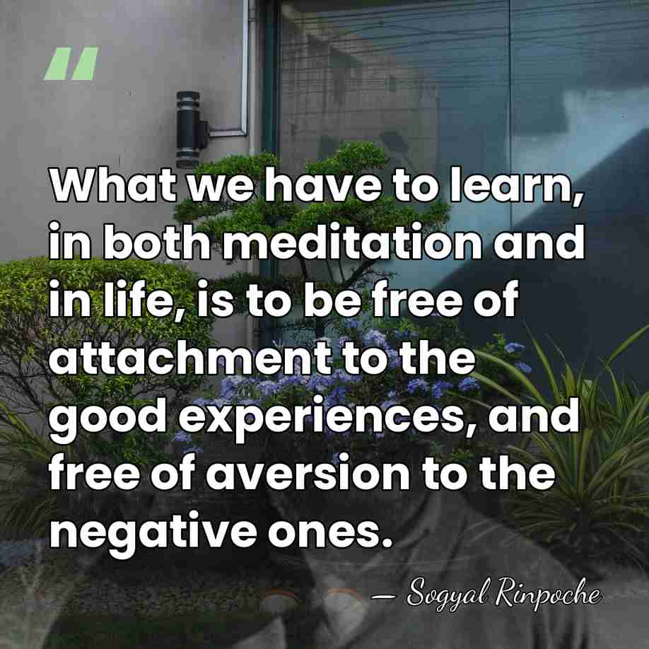 What we have to learn, in both meditation and in life, is&hellip; - Sogyal Rinpoche