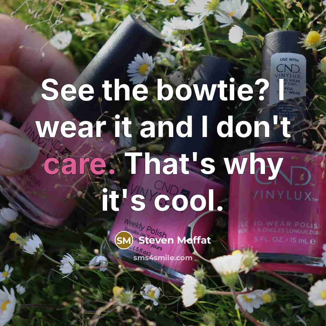 “See the bowtie? I wear it and I don't care.…” quote by Steven Moffat