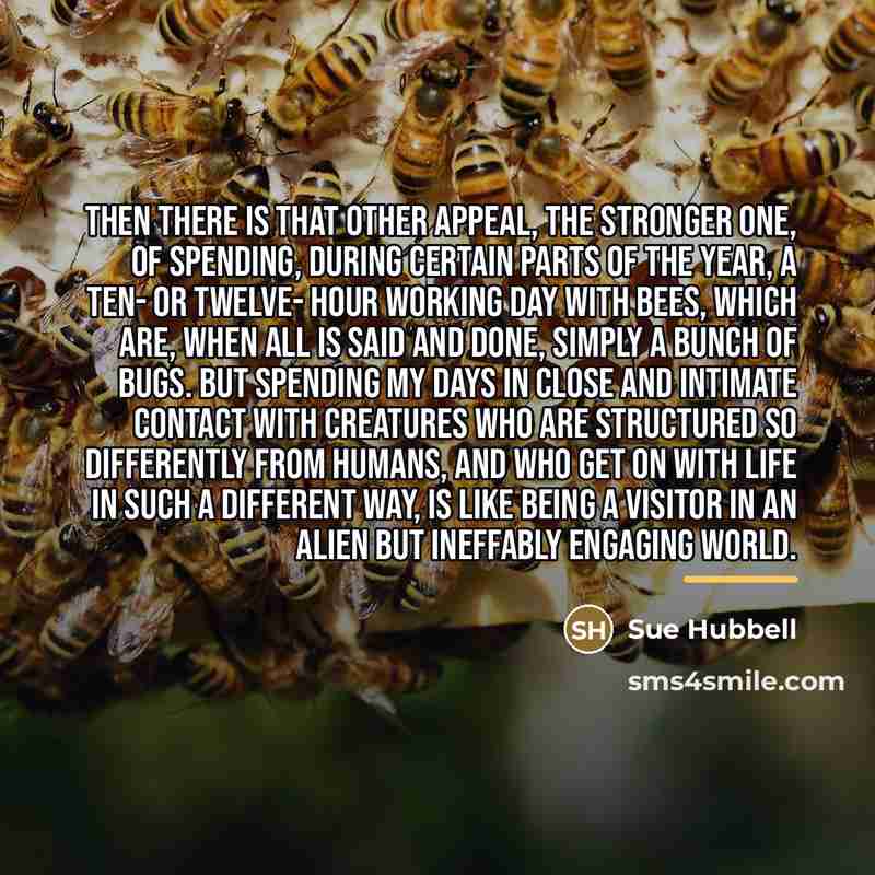“Then there is that other appeal, the stronger one, of…” quote by Sue Hubbell