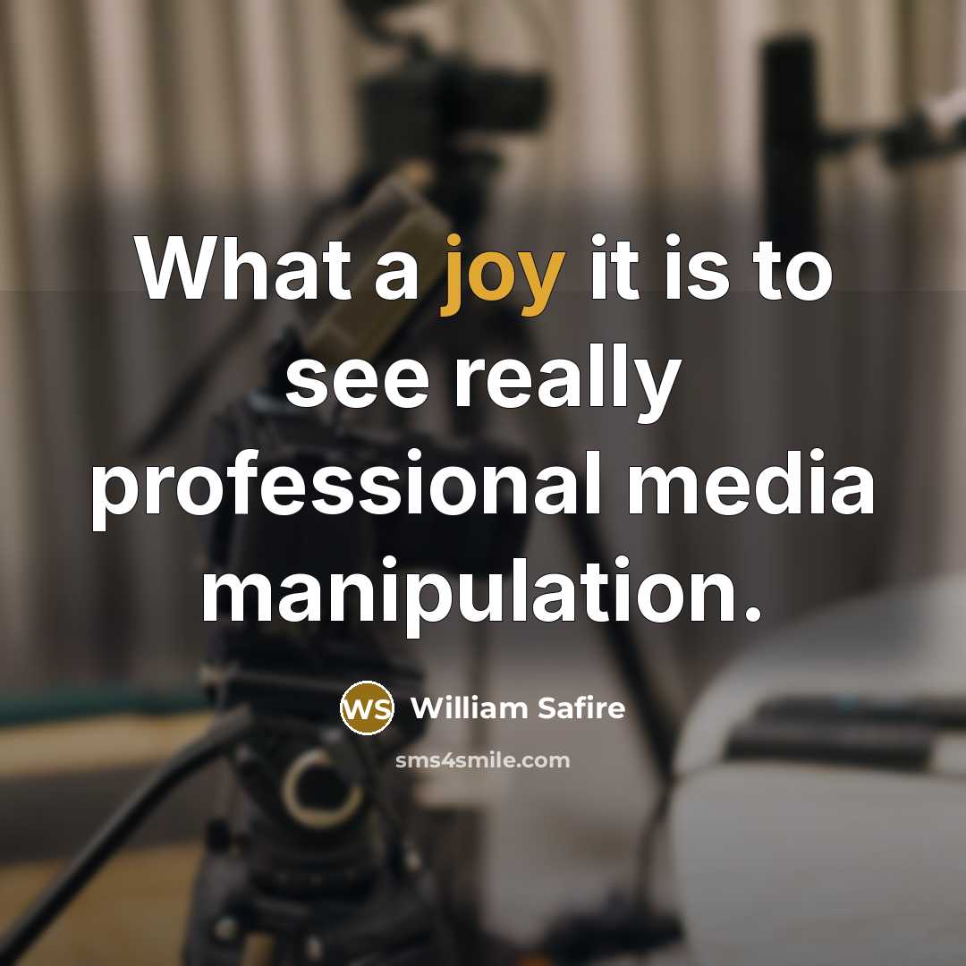 “What a joy it is to see really professional media…” quote by William Safire
