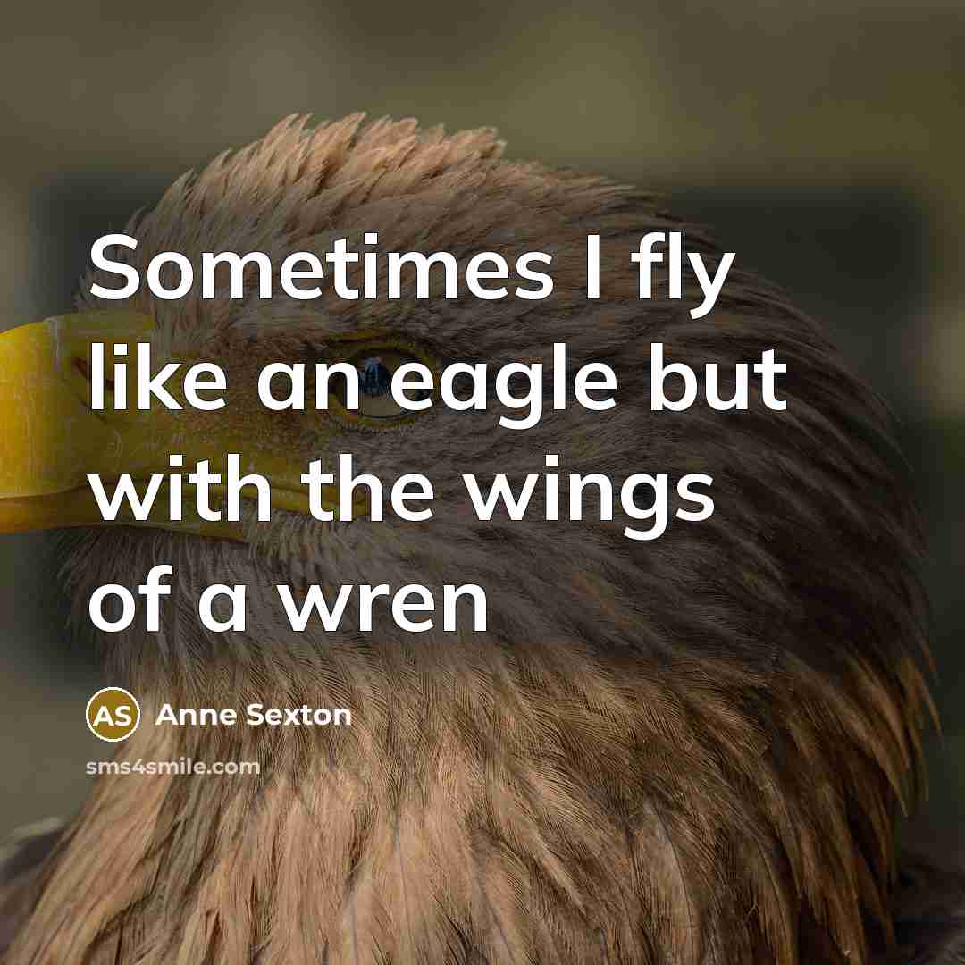 “Sometimes I fly like an eagle but with the wings…” quote by Anne Sexton