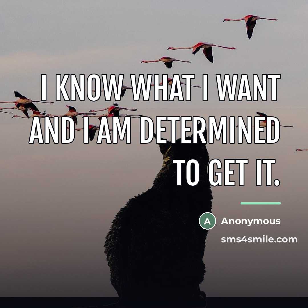 “I know what I want and I am determined to…” quote by Anonymous