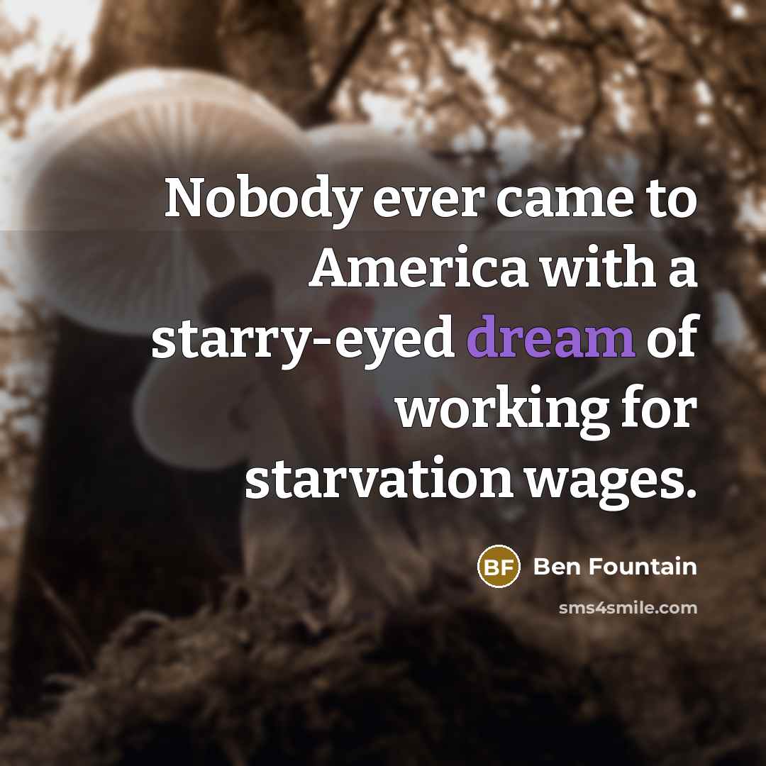 “Nobody ever came to America with a starry-eyed dream of…” quote by Ben Fountain