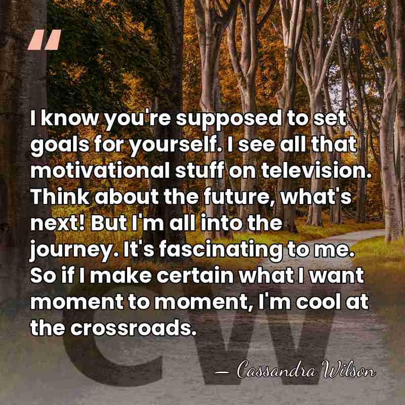 I know you're supposed to set goals for yourself. I see all&hellip; - Cassandra Wilson