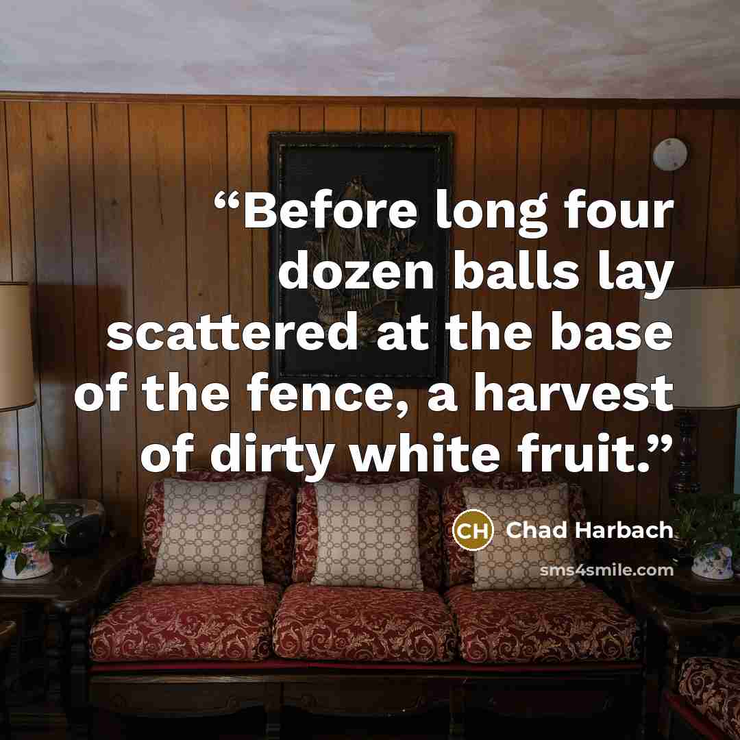 “Before long four dozen balls lay scattered at the base of the fence, a harvest of dirty white fruit.” quote by Chad Harbach