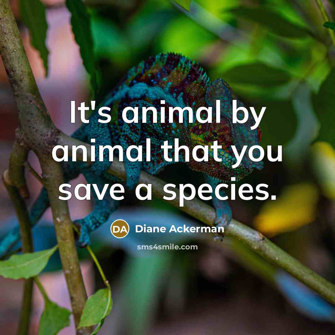 “It's animal by animal that you save a species.…” quote by Diane Ackerman