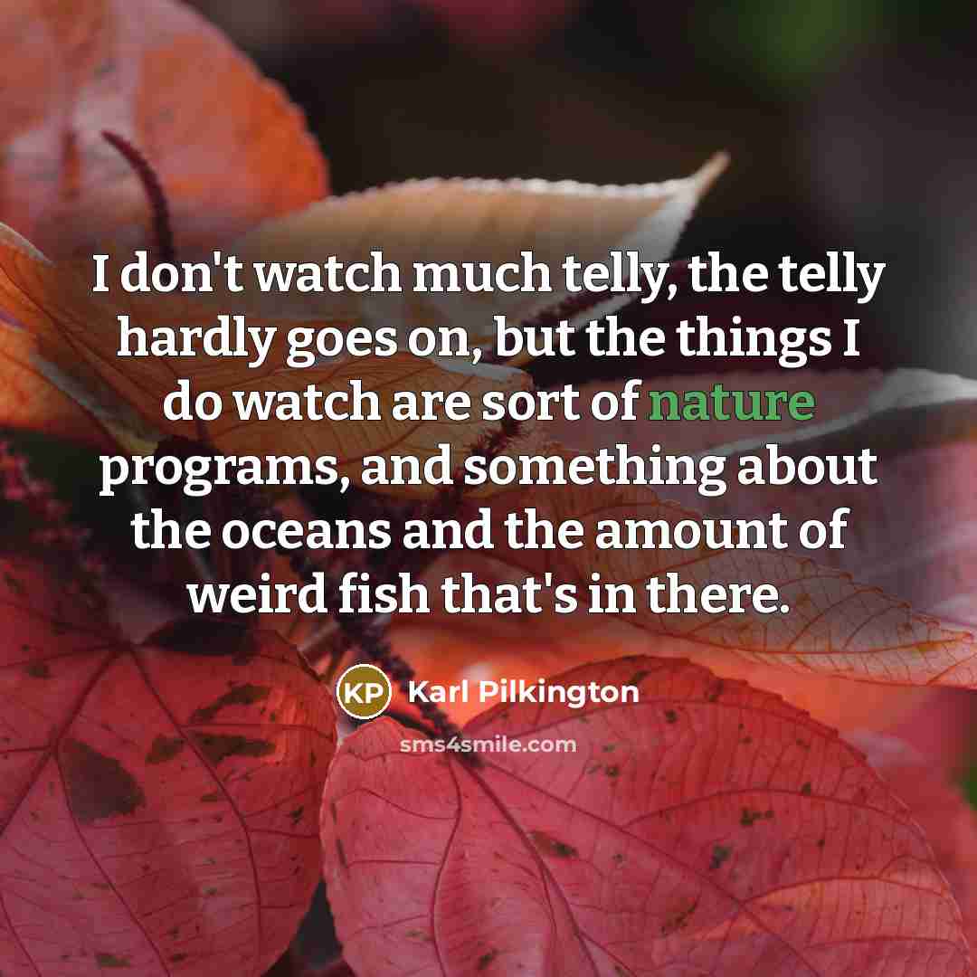 “I don't watch much telly, the telly hardly goes on,…” quote by Karl Pilkington