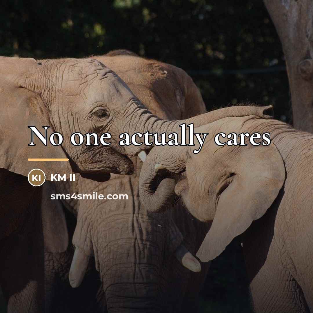 “No one actually cares…” quote by KM II