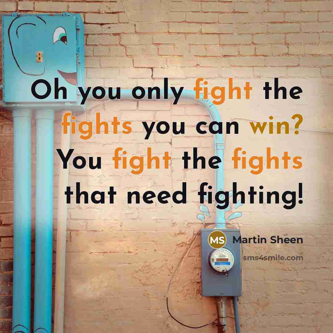 “Oh you only fight the fights you can win? You fight the fights that need fighting!” quote by Martin Sheen