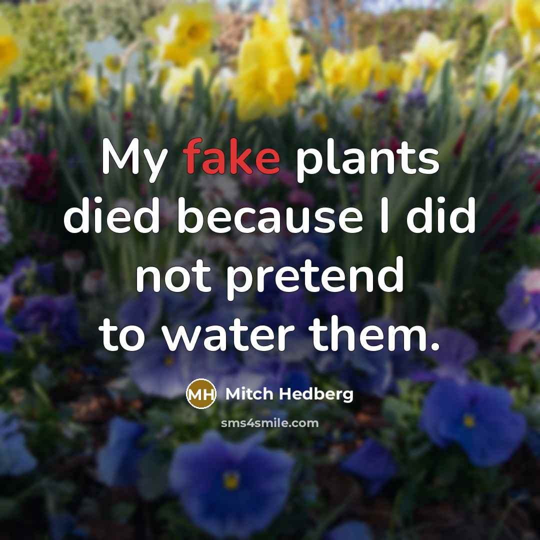 “My fake plants died because I did not pretend to…” quote by Mitch Hedberg