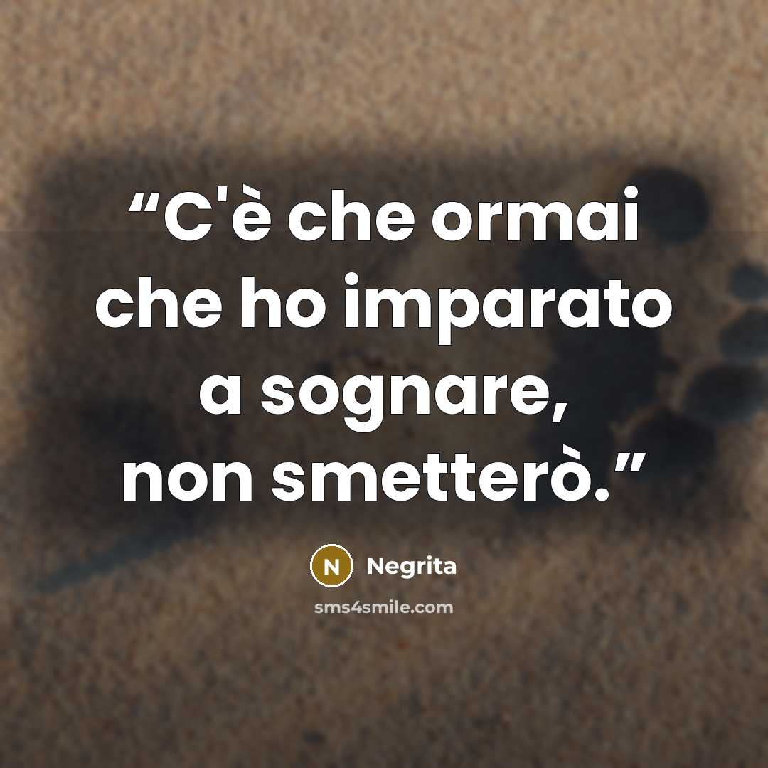 “C'è che ormai che ho imparato a sognare, non smetterò.” quote by Negrita