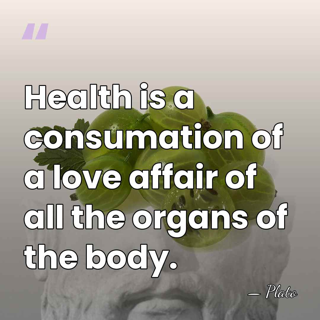 Health is a consumation of a love affair of all the organs&hellip; - Plato