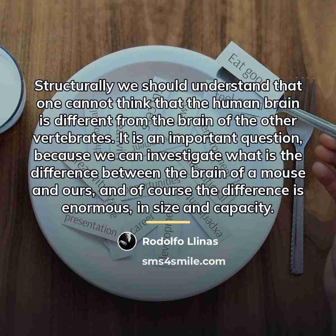 “Structurally we should understand that one cannot think that the…” quote by Rodolfo Llinas