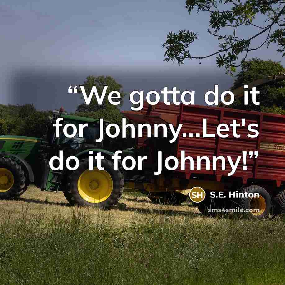 “We gotta do it for Johnny...Let's do it for Johnny!” quote by S.E. Hinton