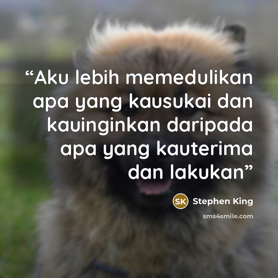 “Aku lebih memedulikan apa yang kausukai dan kauinginkan daripada apa yang kauterima dan lakukan” quote by Stephen King
