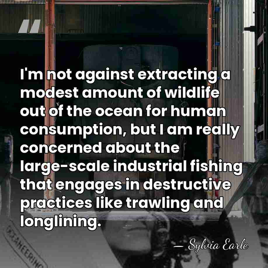 I'm not against extracting a modest amount of wildlife out of the&hellip; - Sylvia Earle