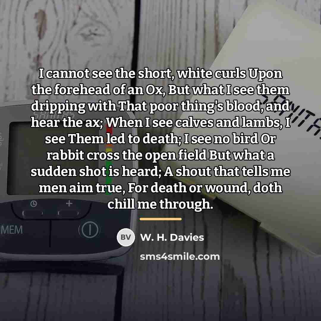 “I cannot see the short, white curls Upon the forehead…” quote by W. H. Davies
