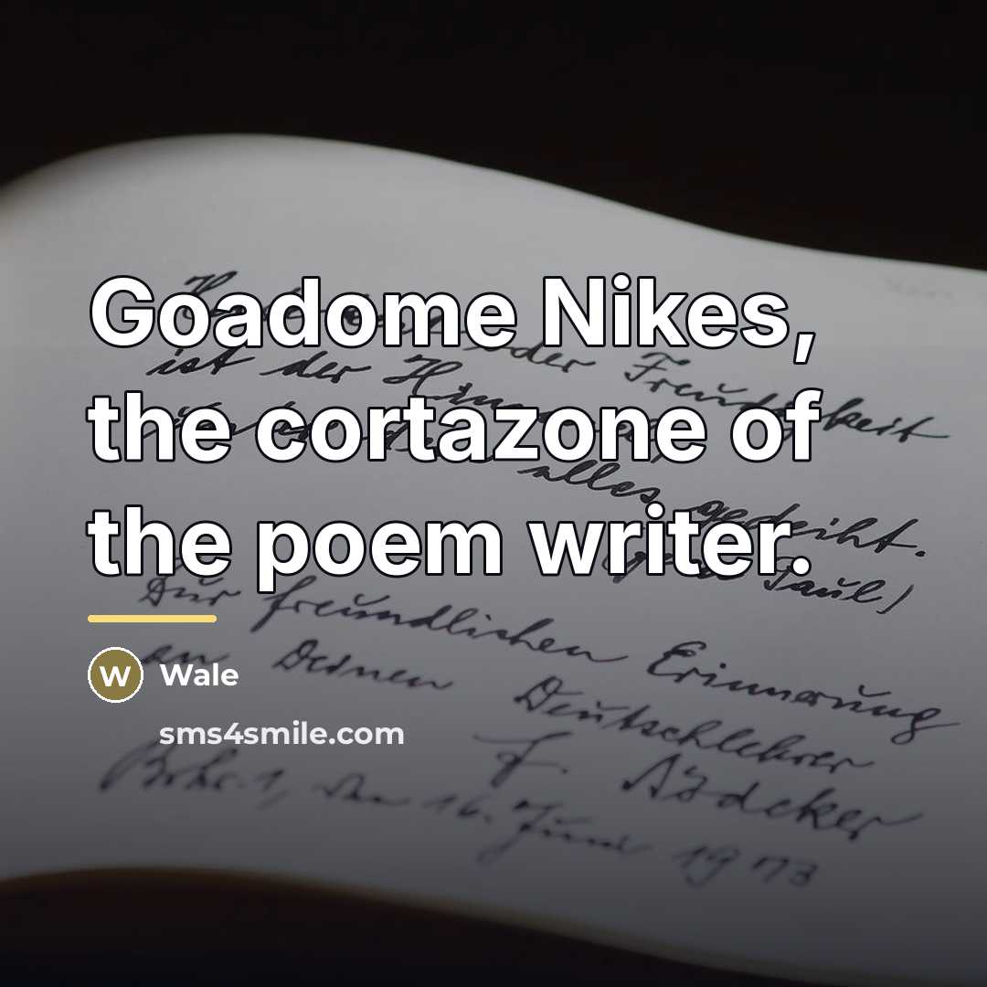 “Goadome Nikes, the cortazone of the poem writer.…” quote by Wale