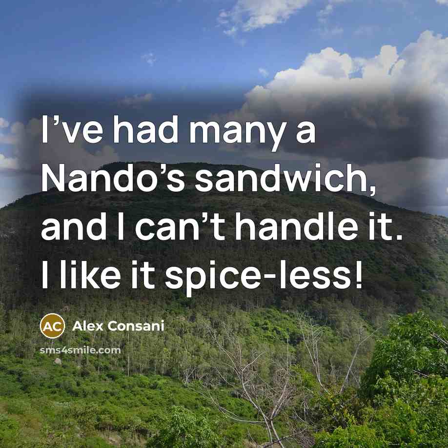 “I've had many a Nando's sandwich, and I can't handle…” quote by Alex Consani